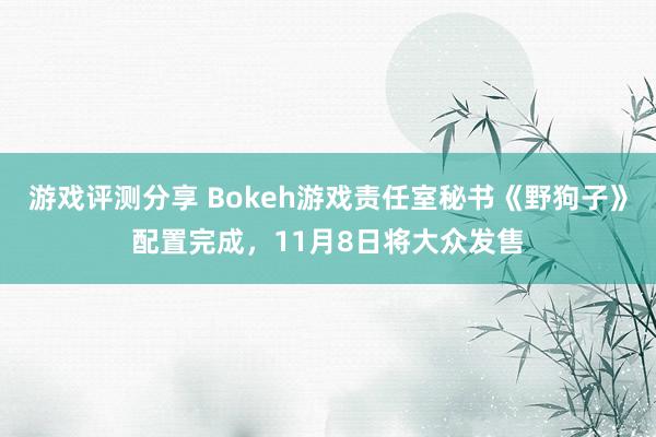 游戏评测分享 Bokeh游戏责任室秘书《野狗子》配置完成，11月8日将大众发售