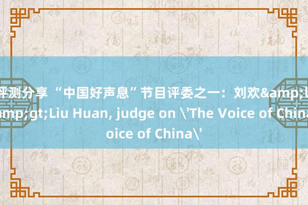 游戏评测分享 “中国好声息”节目评委之一：刘欢&lt;br/&gt;Liu Huan, judge on 'The Voice of China'